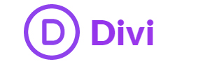 Divi-theme-developers
